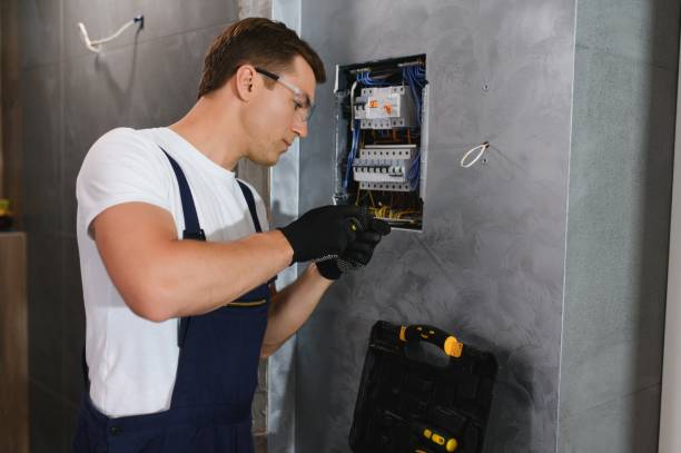 Best Generator Installation Services  in Wolcottville, IN